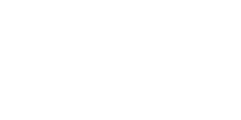 Ludwig